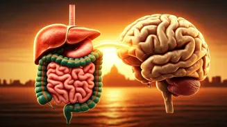Is Your Gut Talking to Your Brain?