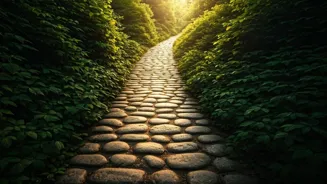 AIIMS Expert: Try 30-Min Japanese Walking!