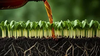 Grow Green Plants Naturally With These Secrets