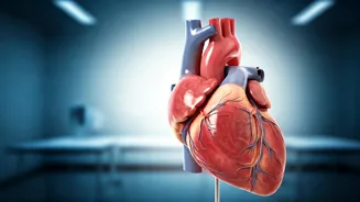Simple Lifestyle Changes for a Healthy Heart
