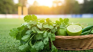 Keep Your Coriander Fresh and Vibrant Longer