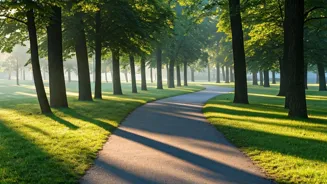 Walk After Eating to Lose Weight Faster.