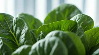 Lower Blood Sugar Naturally With These Tips