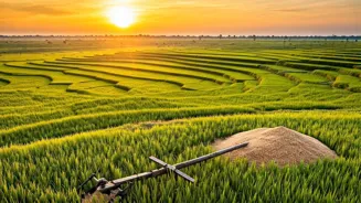 Modi Pledges to Prioritize Farmers Over Tariffs