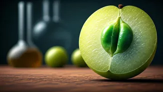 Amla May Lower Cholesterol: Science Explains