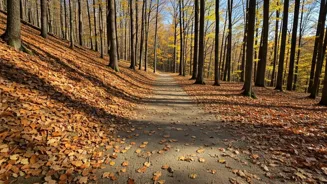 7 Walking 'Cheat Codes' for Maximum Calorie Burn