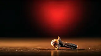 Clove Can Help Your Heart Be Healthy Daily