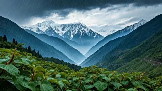 Snowfall Hits Kashmir's Highs, Rain in Plains