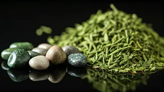 Ayurveda: A Guide to Kidney Stone Relief