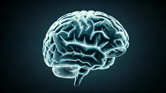 Brain Fog: Symptoms and Solutions for Clarity