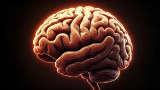 Sharpen Your Mind With These 8 Exercises.