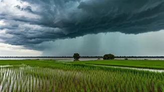 Gujarat On Alert For Heavy Rain, Monsoon Ends