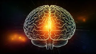 Boost Your Brainpower With These Daily Habits