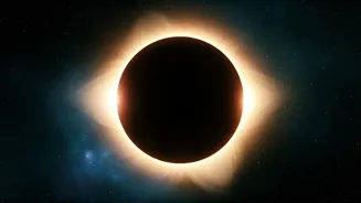 Solar Eclipse 2025: Zodiac Sign Forecasts!