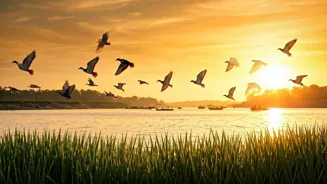Nature Reveals Hidden Mathematical Patterns