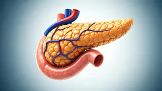 Reverse Type 2 Diabetes With Healthy Habits