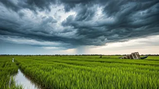 Monsoon Woes in India Need Climate Resilience