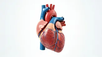 Is Your Heart Healthy? Know the Warning Signs