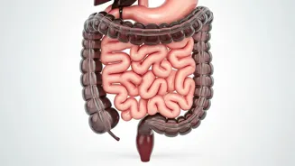 Improve Your Health: Master Bowel Movements