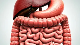 Is Your Digestion Healthy? Find Solutions Here