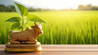Taurus: Manage Money, Strengthen Bonds Today