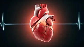 Secrets to a Stronger Heart and Better Health