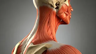 Young Adults: Fix Your Neck and Shoulder Pain