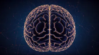 9 Daily Habits for a Sharp Mind: Boost Brain Power