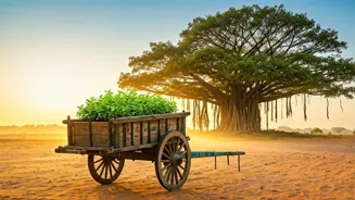 Trump's Policy Shift: India's Green Challenge