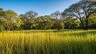Visit Madhya Pradesh's 8 Best Spots in October