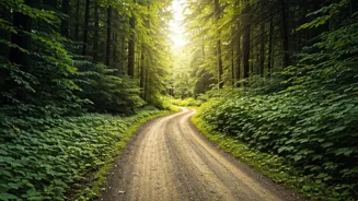 Life Takes Unexpected Turns; Stay the Course.