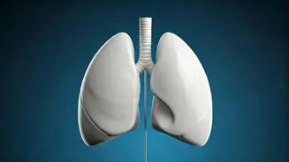Breathe Better: Focus With This Easy Trick