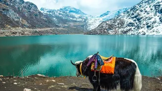Explore 5 Stunning Himalayan Lakes
