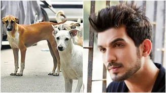 Arjun Bijlani Sad Over Stray Dog Verdict
