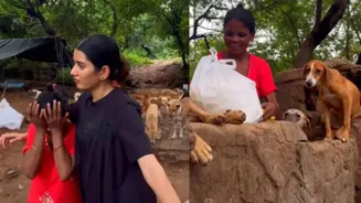 Devi Ji Cares For 70 Stray Dogs in Delhi