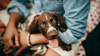 Therapy Dogs Greet Travelers at Indian Airport