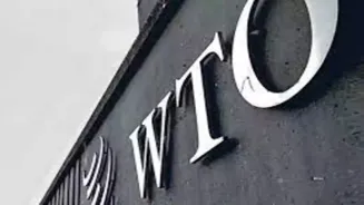 WTO: Trade Slowdown Less Severe Than Expected