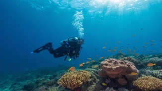 Scuba Diving? Safety Tips To Keep In Mind