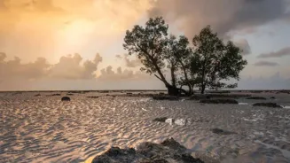 Explore Havelock Island's Beaches in Andamans