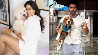 Janhvi, Varun Fight Delhi Stray Dog Removal