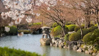 Osaka Overtakes Tokyo as Top Japan Destination