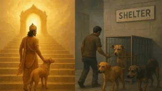 Are Dogs Facing Their Toughest Times?