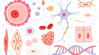 Biology Quiz: 10 Questions for Exam Students