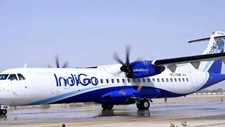 Bird Strike Forces IndiGo Flight Back to Nagpur