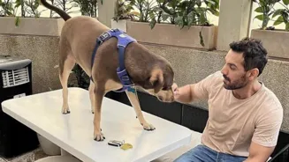 John Abraham: Rethink Stray Dog Ruling
