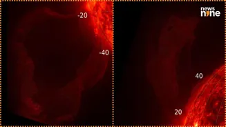 Two Solar Prominence Eruptions Observed on Sun