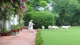 From yoga to reading books:A day in PM Modi's life