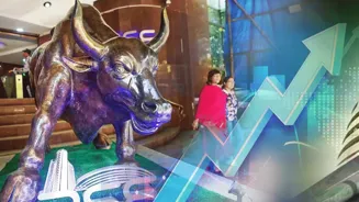 Sensex, Nifty Surge: Experts Analyze the Rally