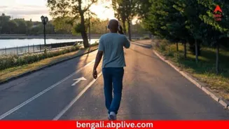 Health Tips: ১০ হাজার পা হাঁটা নয়, এই ‘পদ্ধতি’ মেনে হাঁটলেই চাঙ্গা থাকবে শরীর; ক্রমেই জনপ্রিয় হচ্ছে জাপানিদের এই কৌশল