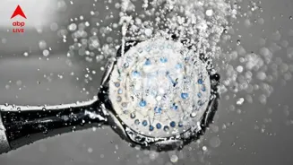 Hot Water Bath: রাতে স্নানের সময় ঈষদুষ্ণ জল ব্যবহার কেন ভাল? ঠান্ডা জলে রাতে স্নান করলে সমস্যা কোথায়?